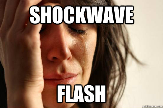 Shockwave Flash  First World Problems