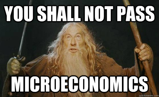 YOU SHALL NOT PASS MICROECONOMICS - YOU SHALL NOT PASS MICROECONOMICS  Misc