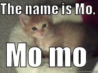 THE NAME IS MO.  MO MO Misc