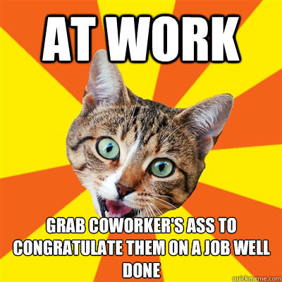 At work Grab coworker's ass to congratulate them on a job well done  Bad Advice Cat