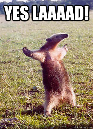 YES LAAAAD!   Defiace Anteater