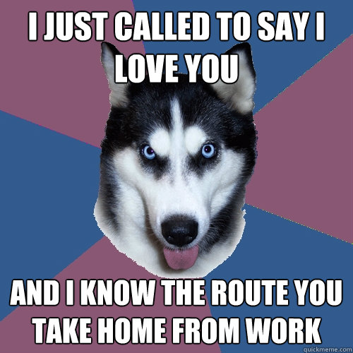 i just called to say i love you and i know the route you take home from work  Creeper Canine