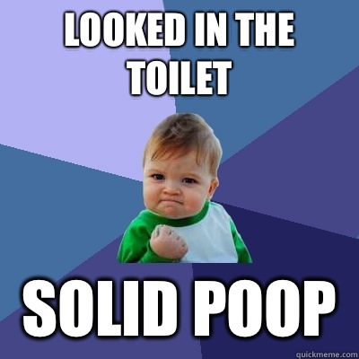 Looked in the toilet Solid poop  Success Kid