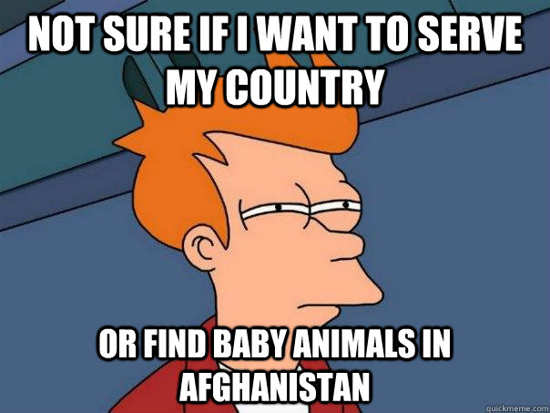 Not sure if I want to serve my country Or find baby animals in afghanistan - Not sure if I want to serve my country Or find baby animals in afghanistan  Futurama Fry