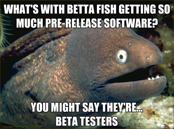 What's with betta fish getting so much pre-release software?  You might say they're...                 beta testers - What's with betta fish getting so much pre-release software?  You might say they're...                 beta testers  Bad Joke Eel