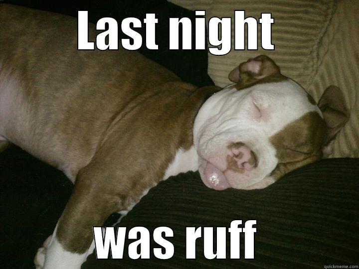 Pittie Life - LAST NIGHT WAS RUFF Misc