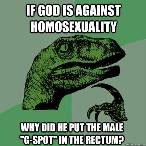 If god is against homosexuality why did he put the male 