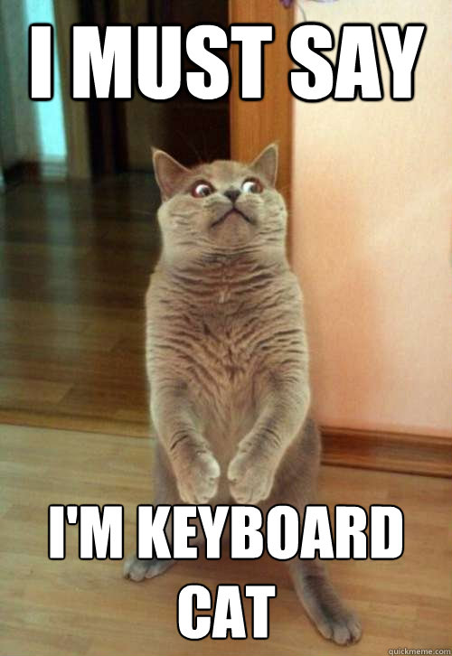 I must say I'm keyboard cat  Horrorcat