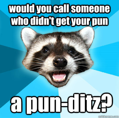 would you call someone who didn't get your pun  a pun-ditz?  Lame Pun Coon