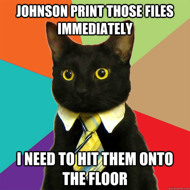 Johnson print those files immediately I need to hit them onto the floor  Business Cat