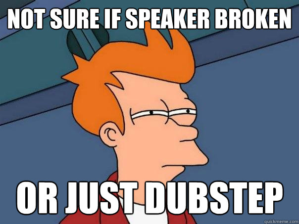 not sure if speaker broken or just dubstep  Futurama Fry