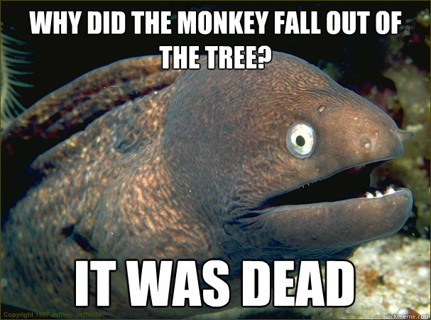 why did the monkey fall out of the tree? it was dead  Bad Joke Eel