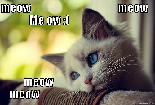 MEOW                                        MEOW                ME OW :(                                        MEOW                                        MEOW                                                     First World Problems Cat