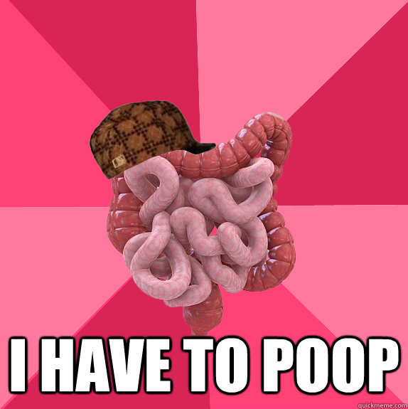  I HAVE TO POOP  Scumbag Intestines