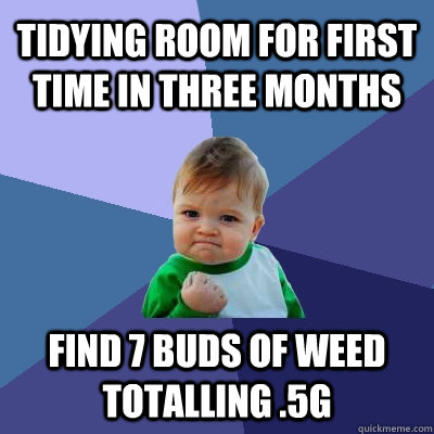 Tidying room for first time in three months Find 7 buds of weed totalling .5g - Tidying room for first time in three months Find 7 buds of weed totalling .5g  Success Kid