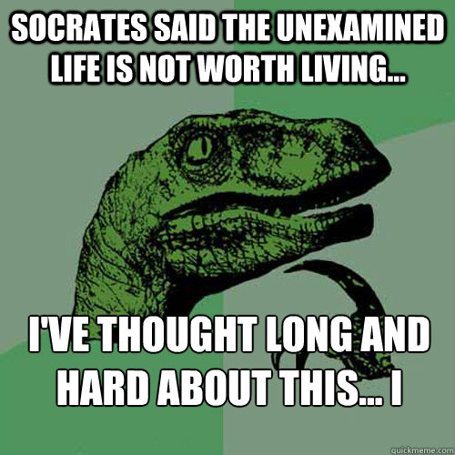 Socrates said the unexamined life is not worth living... I've thought long and hard about this... I disagree.
  Philosoraptor