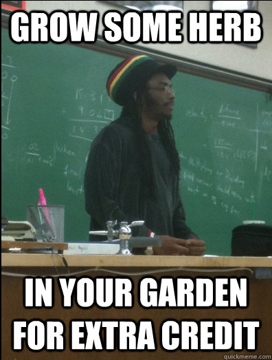 Grow some herb In your garden for extra credit  Rasta Science Teacher