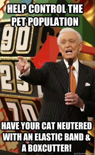 Help control the pet population Have your cat neutered with an elastic band & a boxcutter!  A message from Bob Barker