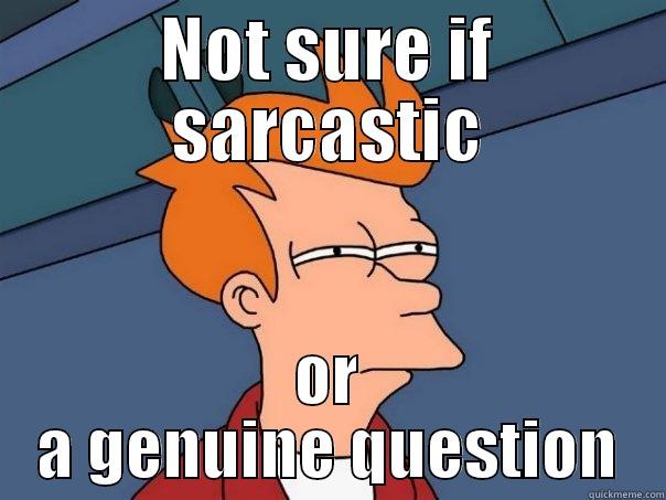 NOT SURE IF SARCASTIC OR A GENUINE QUESTION Futurama Fry