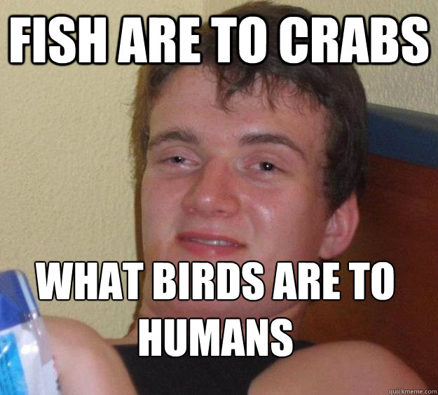 Fish are to crabs what Birds are to Humans
  10 Guy