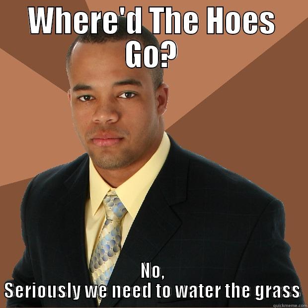 WHERE'D THE HOES GO? NO, SERIOUSLY WE NEED TO WATER THE GRASS Successful Black Man