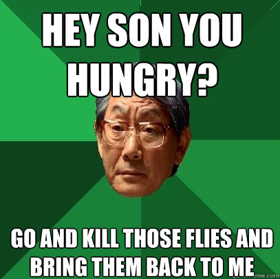 hey son you hungry? go and kill those flies and bring them back to me  High Expectations Asian Father