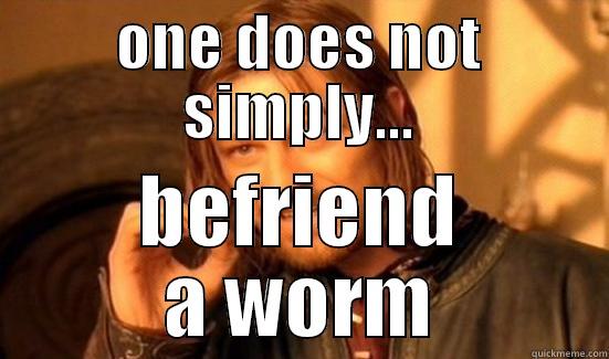 ONE DOES NOT SIMPLY... BEFRIEND A WORM Boromir