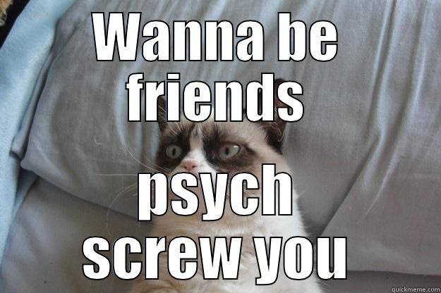 Grumpy Cat - WANNA BE FRIENDS PSYCH SCREW YOU Grumpy Cat