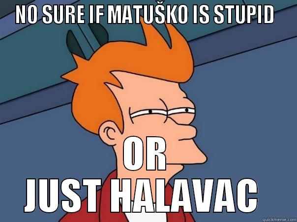 NO SURE IF MATUŠKO IS STUPID  OR JUST HALAVAC  Futurama Fry