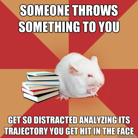 someone throws something to you get so distracted analyzing its trajectory you get hit in the face - someone throws something to you get so distracted analyzing its trajectory you get hit in the face  Science Major Mouse