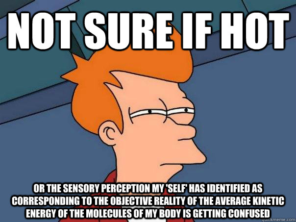 Not sure if hot or the sensory perception my 'self' has identified as corresponding to the objective reality of the average kinetic energy of the molecules of my body is getting confused  Futurama Fry