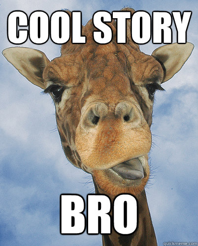 Cool Story Bro  