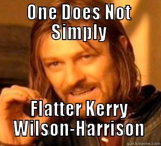 Simple Flattery - ONE DOES NOT SIMPLY FLATTER KERRY WILSON-HARRISON Misc