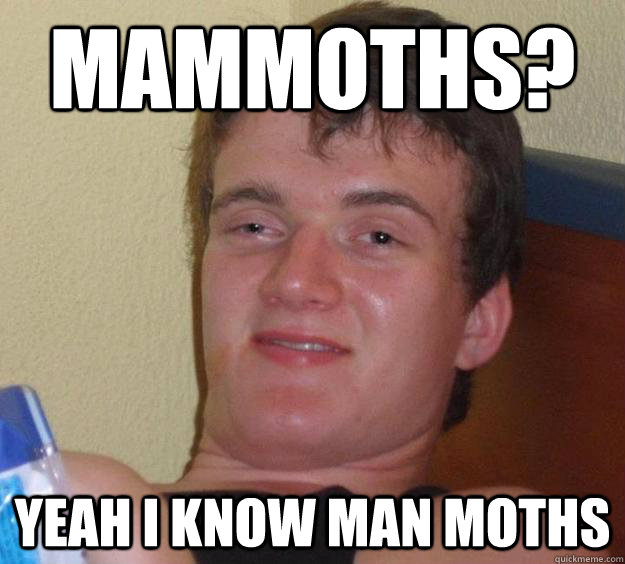 mammoths? yeah i know man moths  10 Guy