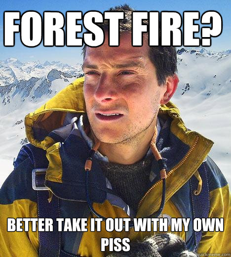 Forest Fire?  better take it out with my own piss  Bear Grylls