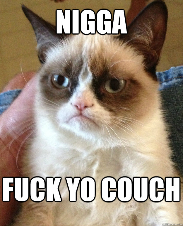 NIGGA FUCK YO COUCH  Grumpy Cat