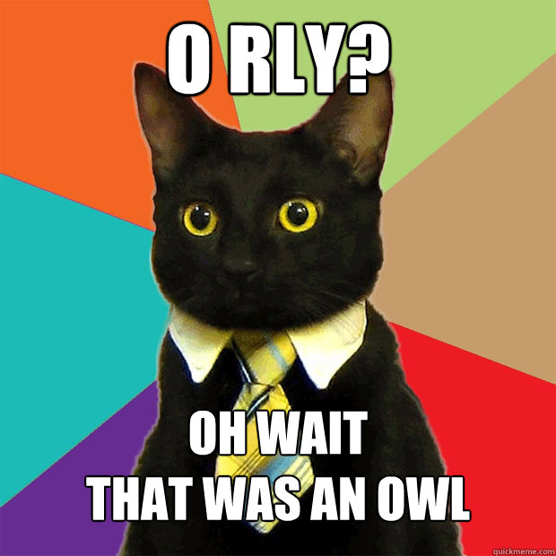 O RLY? OH Wait
that was an owl  Business Cat