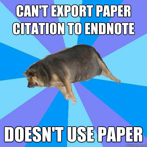 Can't export paper citation to EndNote Doesn't use paper  Lazy college student