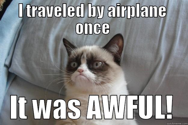 I TRAVELED BY AIRPLANE ONCE IT WAS AWFUL! Grumpy Cat