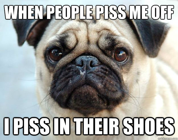 WHEN PEOPLE PISS ME OFF I PISS IN THEIR SHOES - WHEN PEOPLE PISS ME OFF I PISS IN THEIR SHOES  Misc