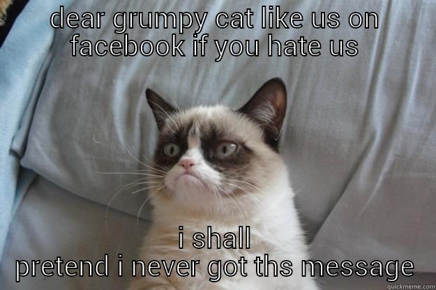 dear grumpy cat - DEAR GRUMPY CAT LIKE US ON FACEBOOK IF YOU HATE US I SHALL PRETEND I NEVER GOT THS MESSAGE Grumpy Cat