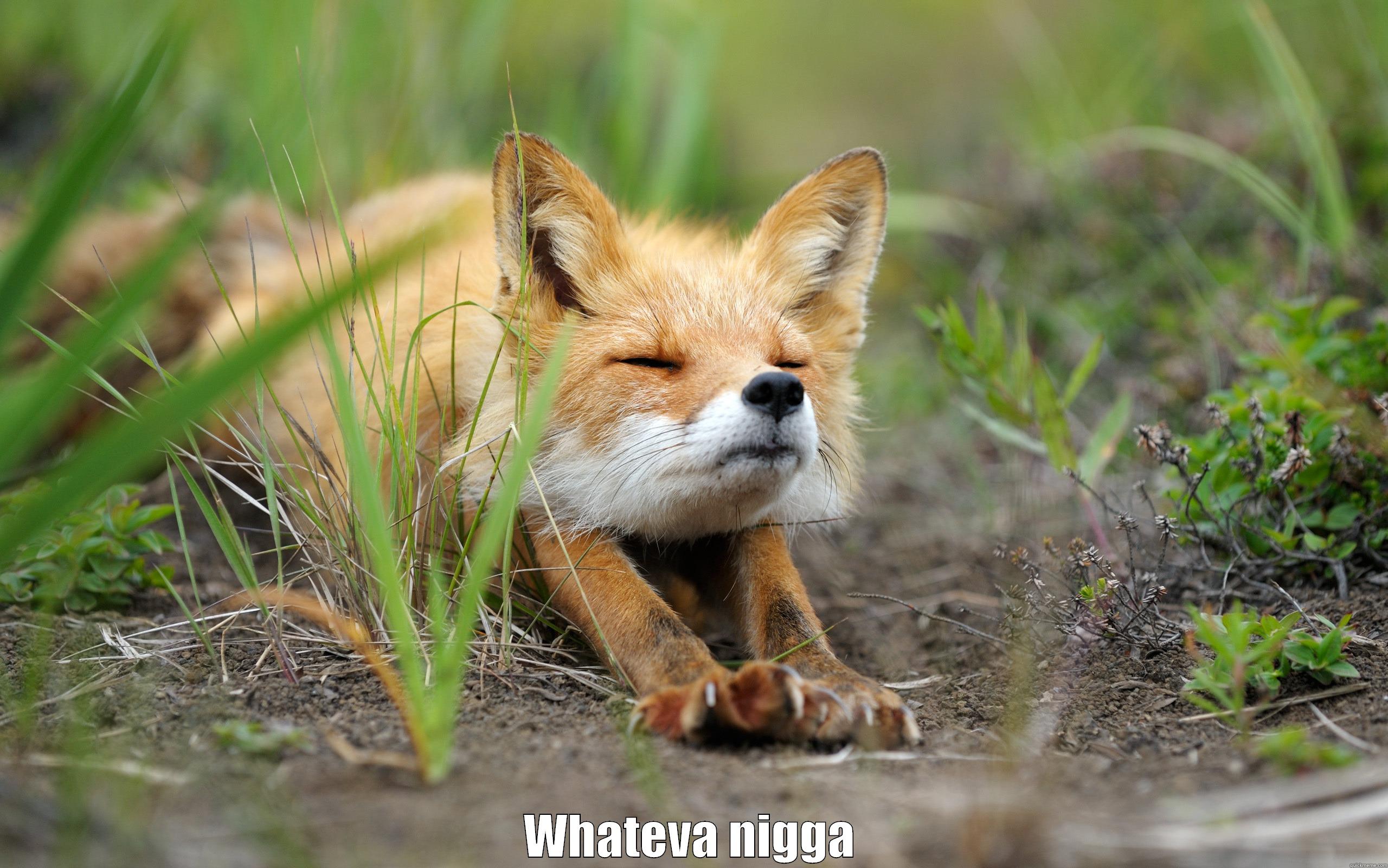 QuickMeme doesn't like my Title. -  WHATEVA NIGGA Misc