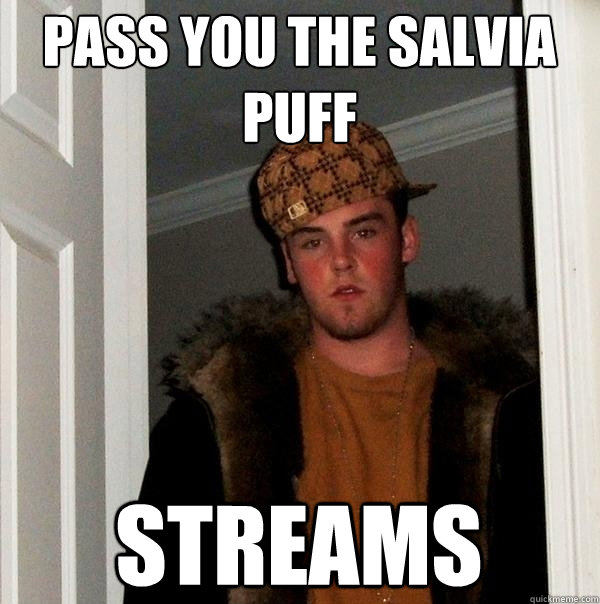 PASS YOU THE SALVIA PUFF STREAMS  Scumbag Steve