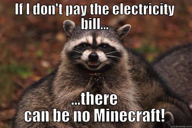 IF I DON'T PAY THE ELECTRICITY BILL... ...THERE CAN BE NO MINECRAFT! Evil Plotting Raccoon