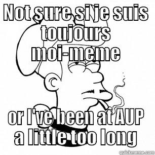 french fry - NOT SURE SI JE SUIS TOUJOURS MOI-MEME OR I'VE BEEN AT AUP A LITTLE TOO LONG Misc