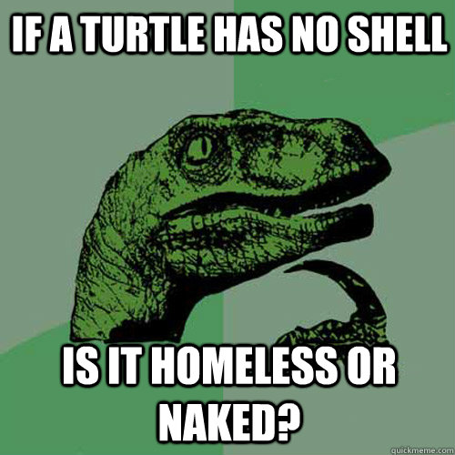 if a turtle has no shell is it homeless or naked? - if a turtle has no shell is it homeless or naked?  Philosoraptor