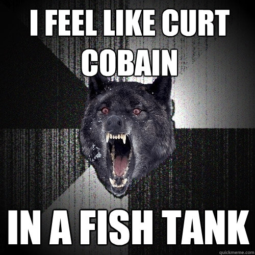 I feel like curt cobain in a fish tank  Insanity Wolf