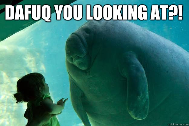 Dafuq you looking at?!   Overlord Manatee