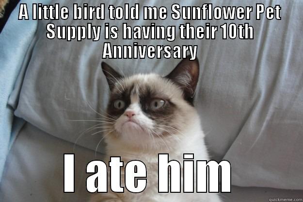 10th birthday - A LITTLE BIRD TOLD ME SUNFLOWER PET SUPPLY IS HAVING THEIR 10TH ANNIVERSARY I ATE HIM Grumpy Cat