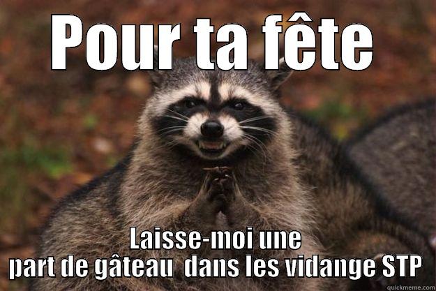 POUR TA FÊTE LAISSE-MOI UNE PART DE GÂTEAU  DANS LES VIDANGE STP Evil Plotting Raccoon